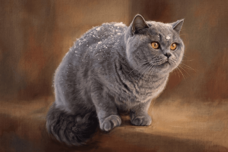 загруженное (3).png